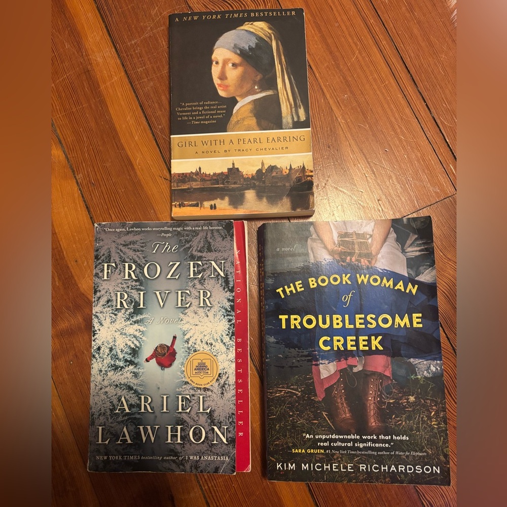 Historical fiction book bundle
